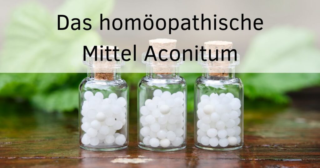 Aconitum Homöopathie Psyche Wirkung Leitsymptome Anwendungsgebiete