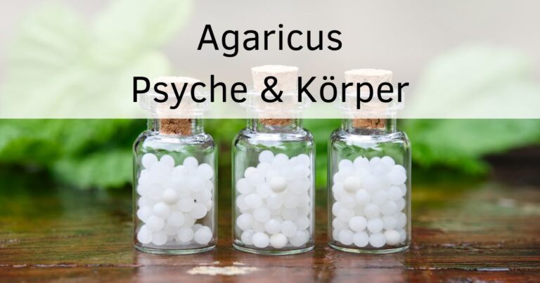 Bild: Globuliflaschen Text: Agaricus Psyche und Körper
